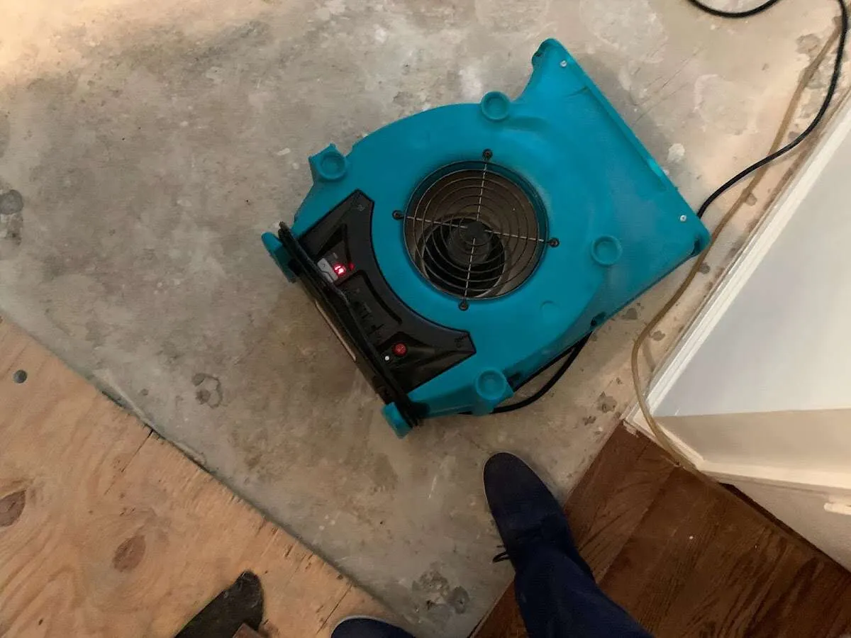 Air mover drying subfloor during Leak Detection & Repair in Mayfair
